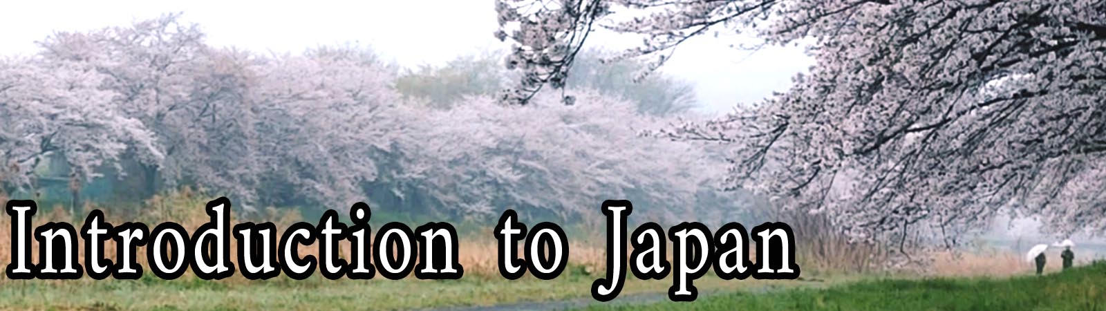 Japanese img